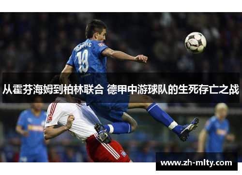 从霍芬海姆到柏林联合 德甲中游球队的生死存亡之战