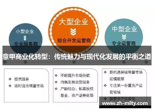 意甲商业化转型：传统魅力与现代化发展的平衡之道