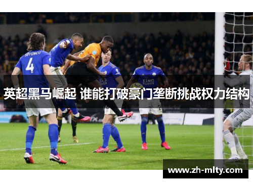 英超黑马崛起 谁能打破豪门垄断挑战权力结构