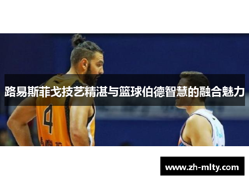 路易斯菲戈技艺精湛与篮球伯德智慧的融合魅力