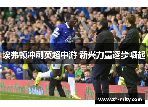 埃弗顿冲刺英超中游 新兴力量逐步崛起